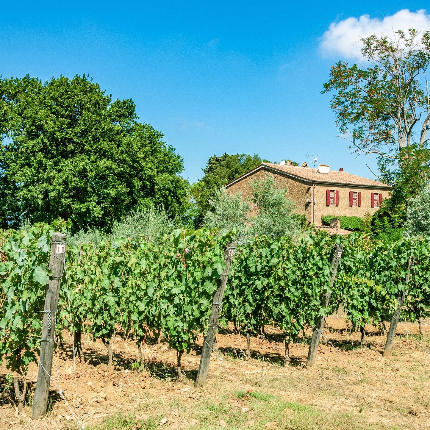 Visita e Degustazione tra i luoghi della produzione