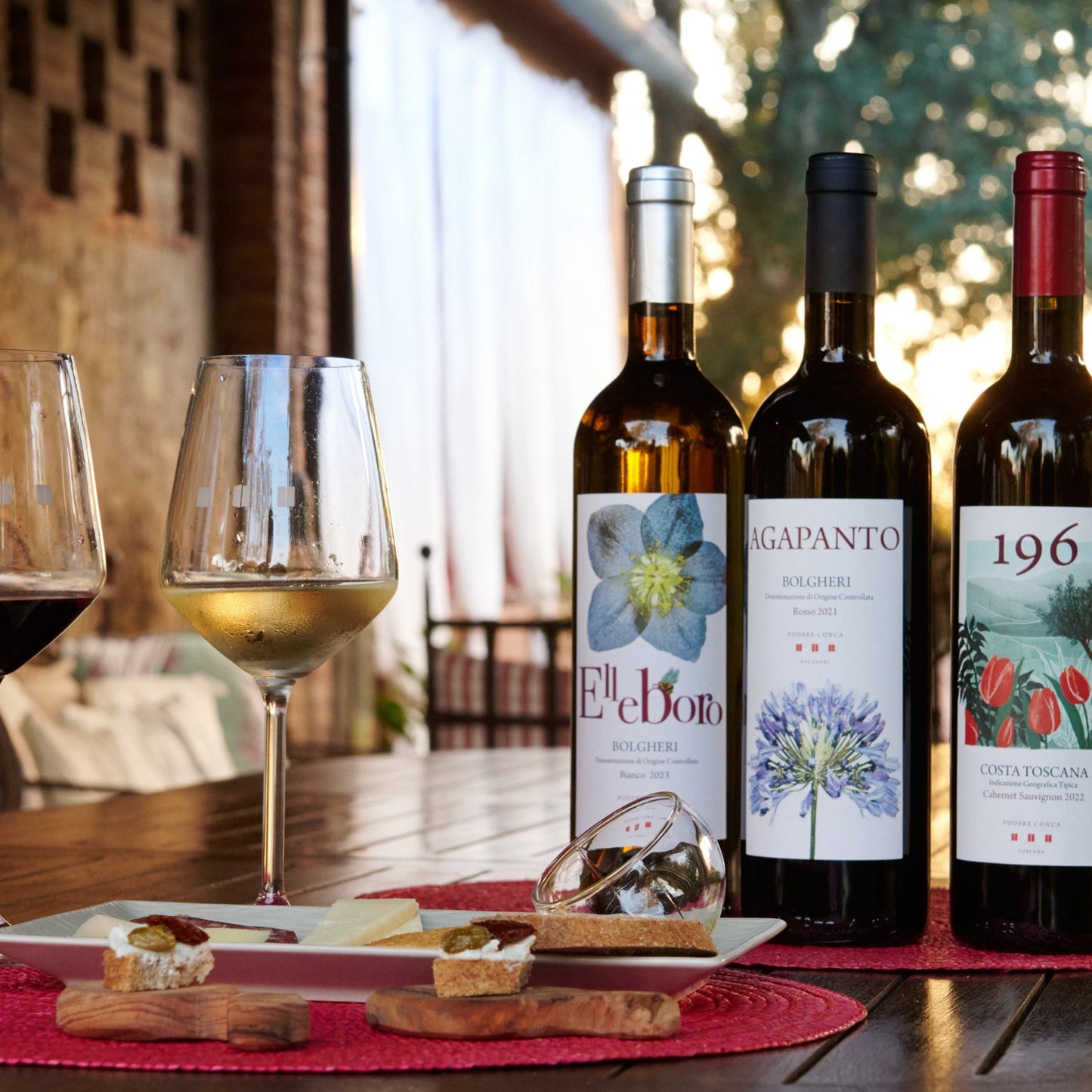 Tasting and visit to the farm