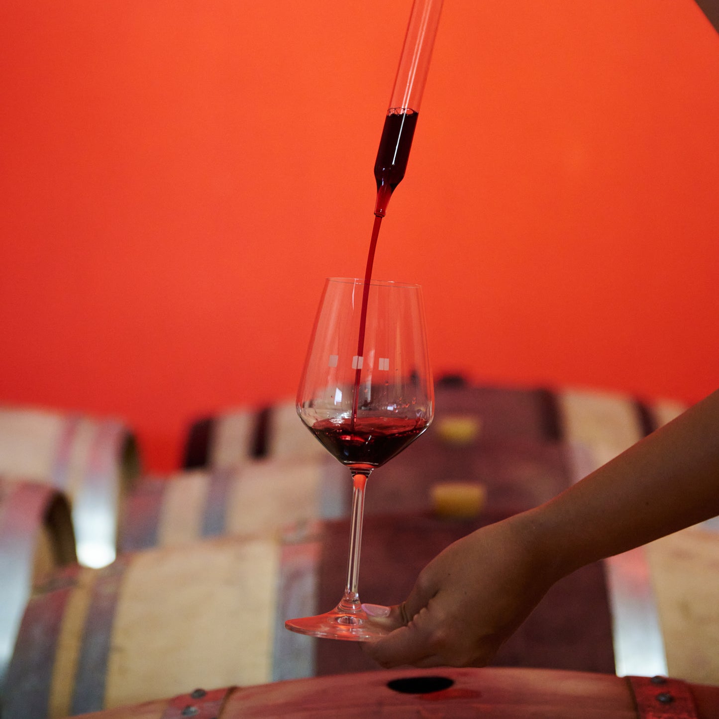 Visita al Podere e Degustazione Sensoriale in cantina