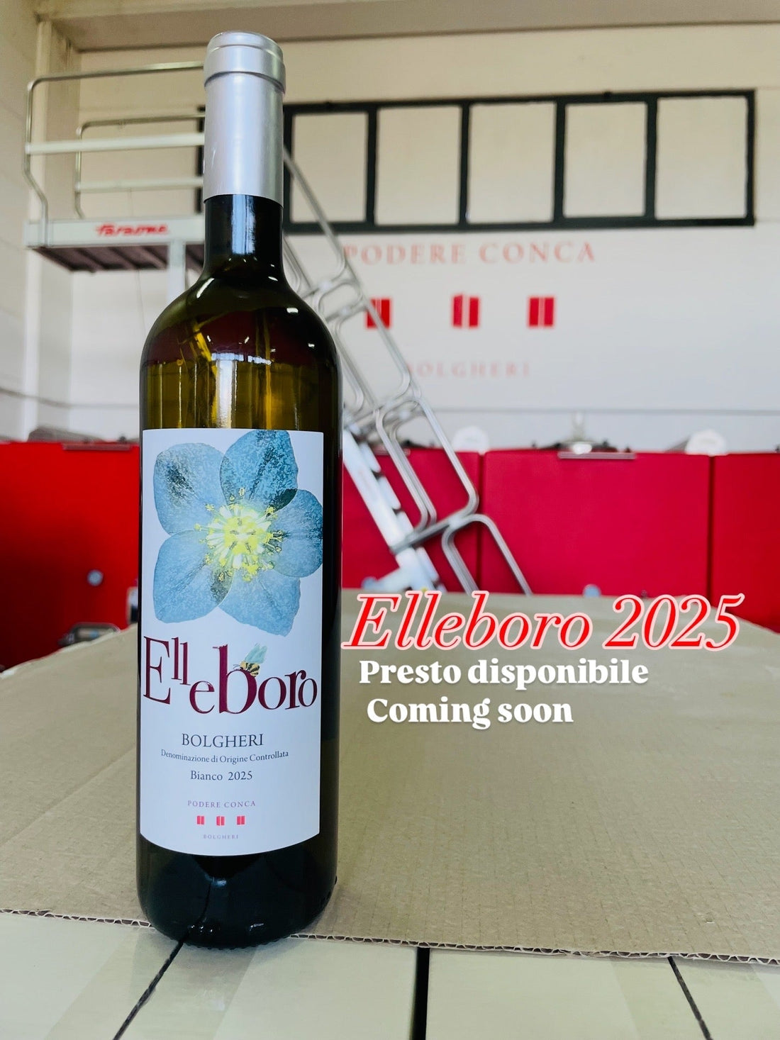 Elleboro DOC Bolgheri Bianco 2025 presto disponibile!