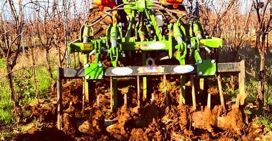 Lavori di primavera in vigna