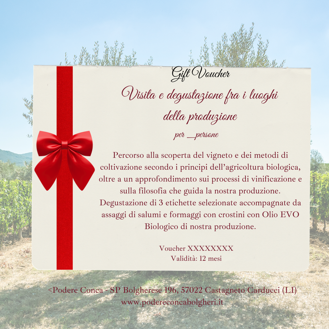 Voucher Regalo